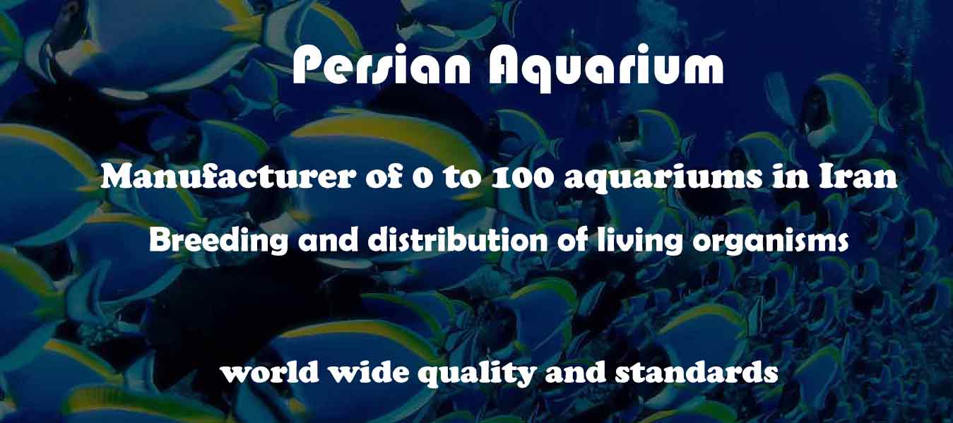 Persian-aquarium-en