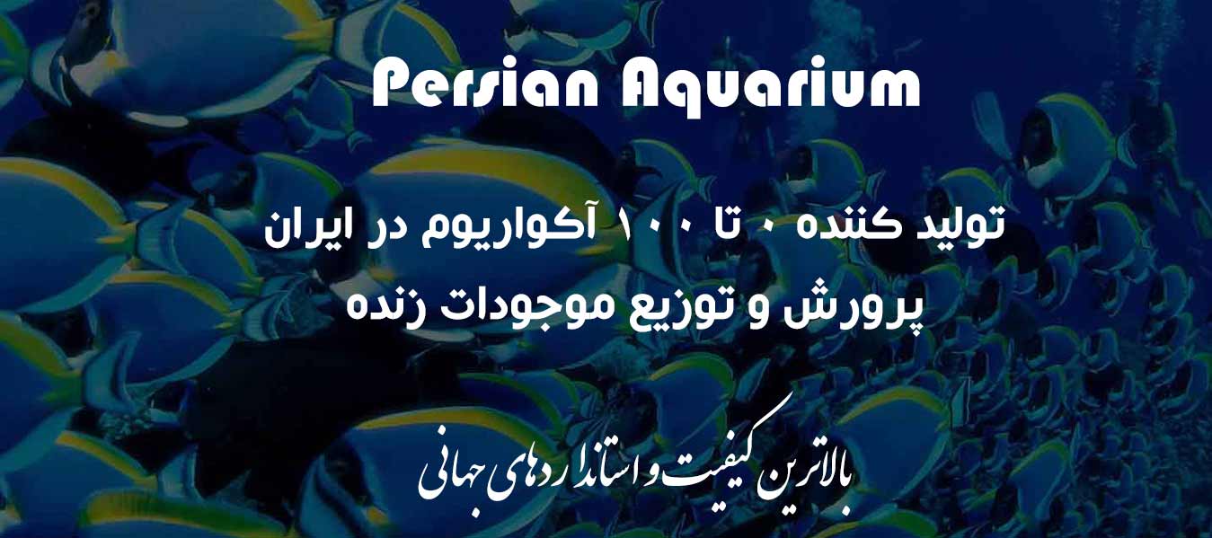 Persian aquarium